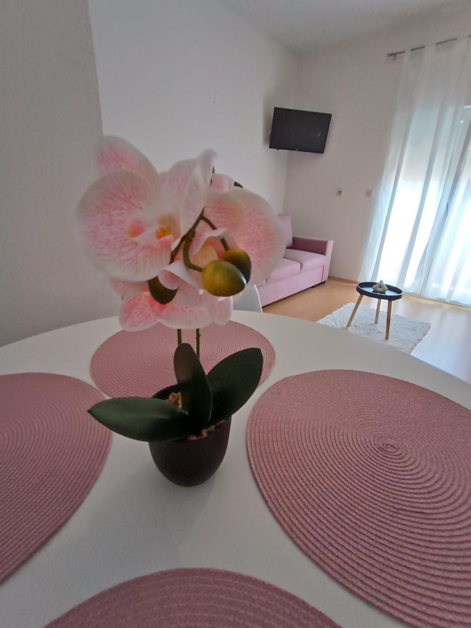 Apartman Lea ซูโกชัน ภายนอก รูปภาพ